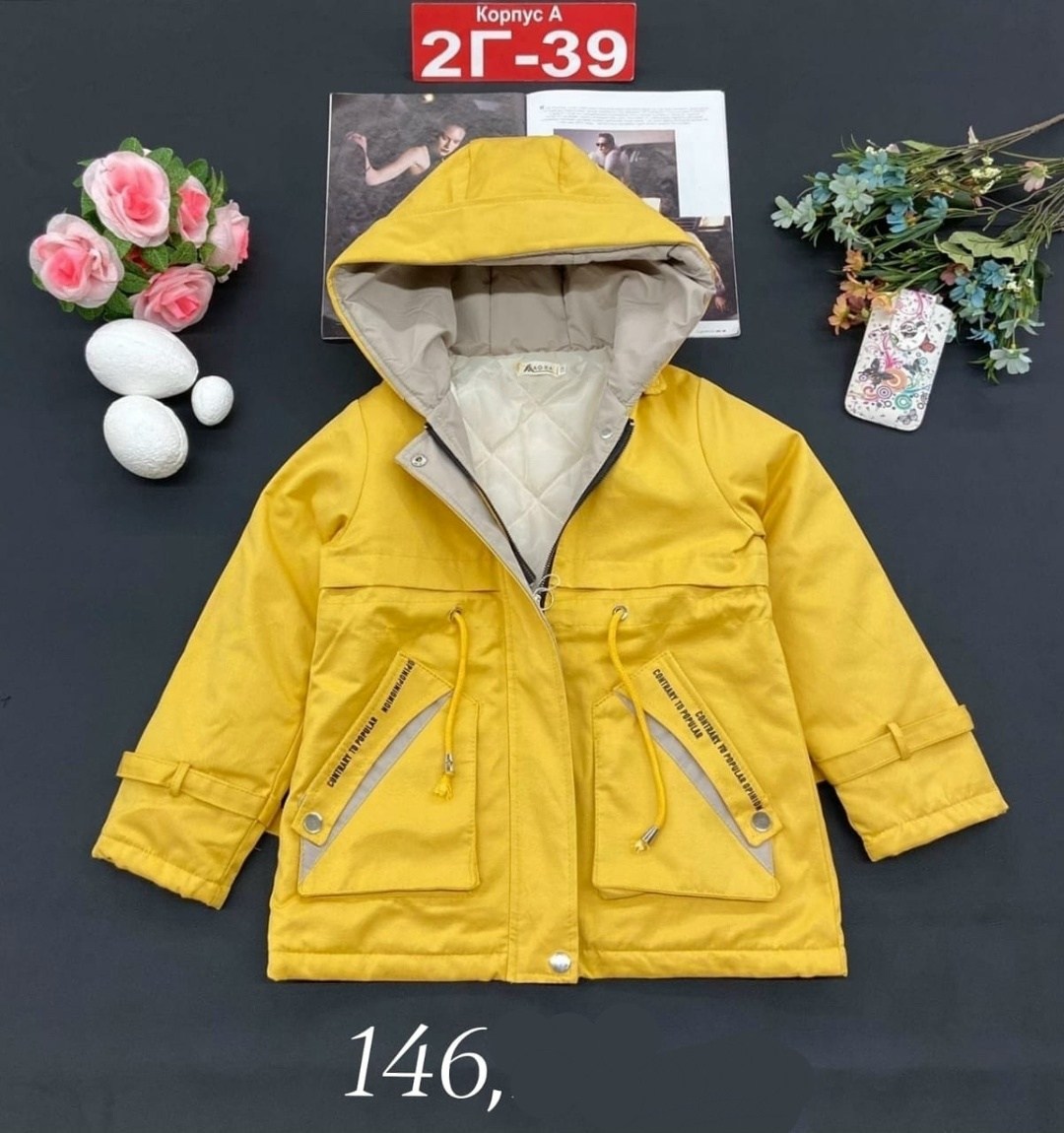 куртка парка,демисезонная куртка,куртки ,куртка,куртка детская