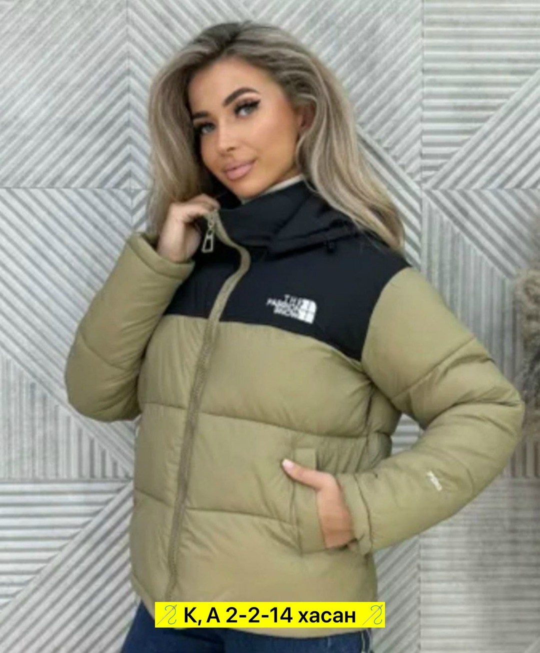 мужские пуховики the north face,куртки норд фейс мужские,пуховик the north face 700,пуховик the north face,куртка зимняя the north face