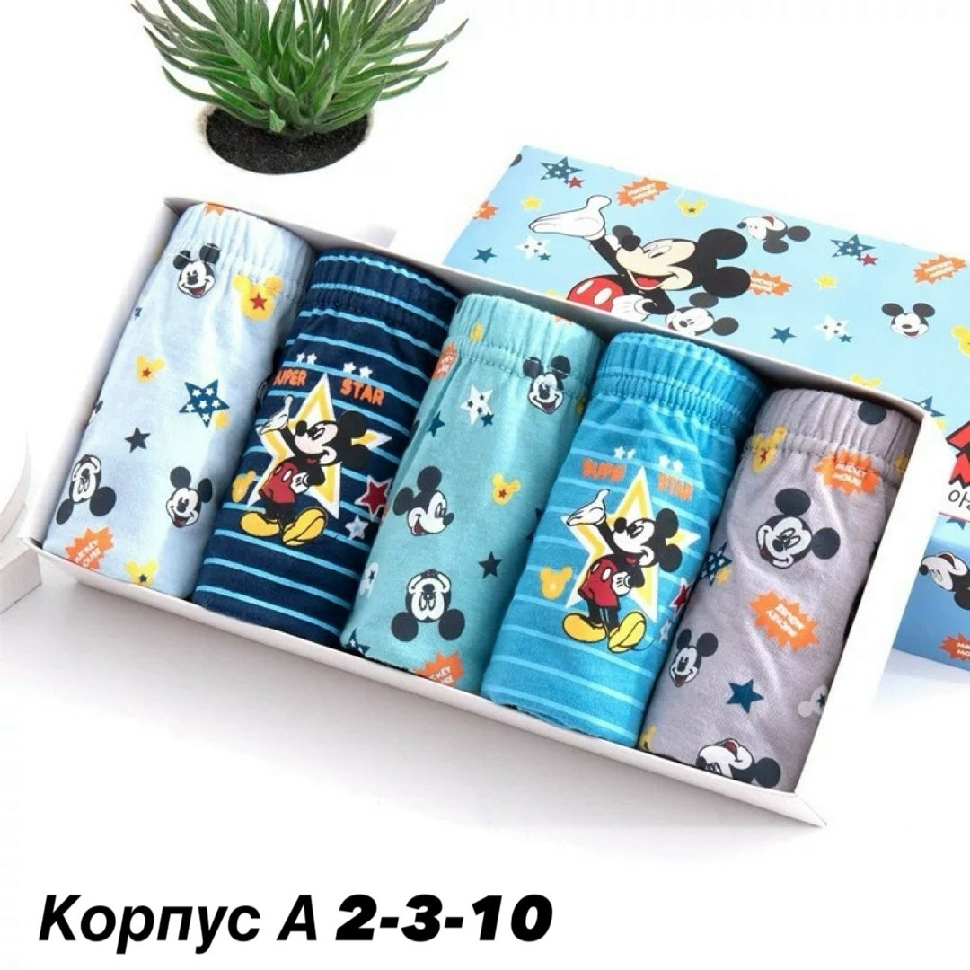 трусы для мальчика 5 шт,детские трусы,детские трусы для мальчика,детское нижнее белье для мальчиков,трусы для мальчика