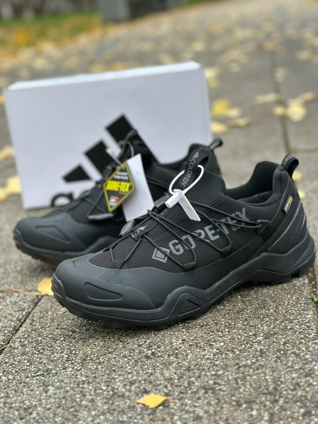 adidas terrex swift r 2 gtx,кроссовки adidas terrex swift,adidas terrex swift r2 gtx,terrex swift r2 gtx,adidas terrex swift