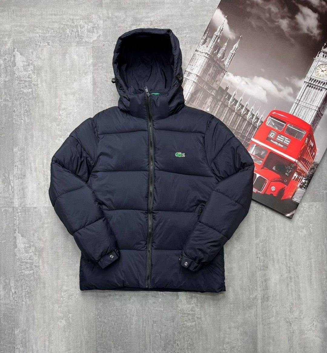 мужские пуховики lacoste,пуховик lacoste,lacoste куртка мужская зимняя,куртка lacoste,пуховик лакост