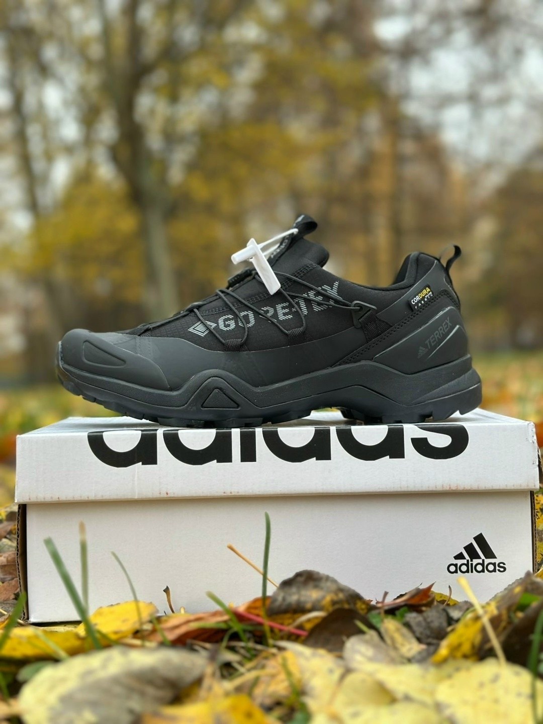 adidas terrex swift r 2 gtx,кроссовки adidas terrex swift,adidas terrex swift r2 gtx,terrex swift r2 gtx,adidas terrex swift