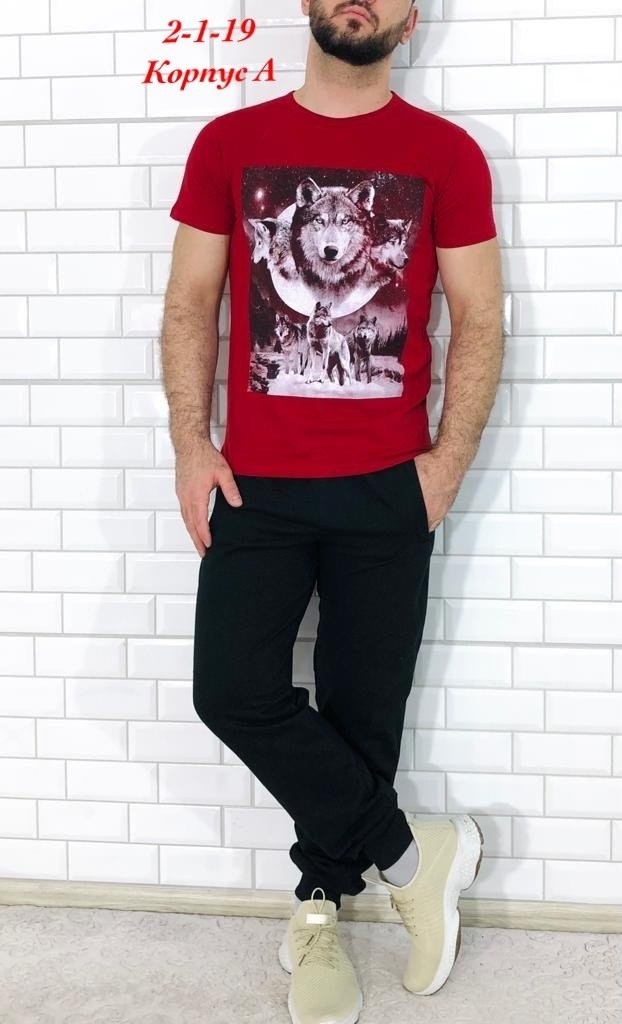 костюм футболка,мужские спортивные костюмы,спортивный костюм мужской футболка,костюм футболка и брюки,спортивные костюм