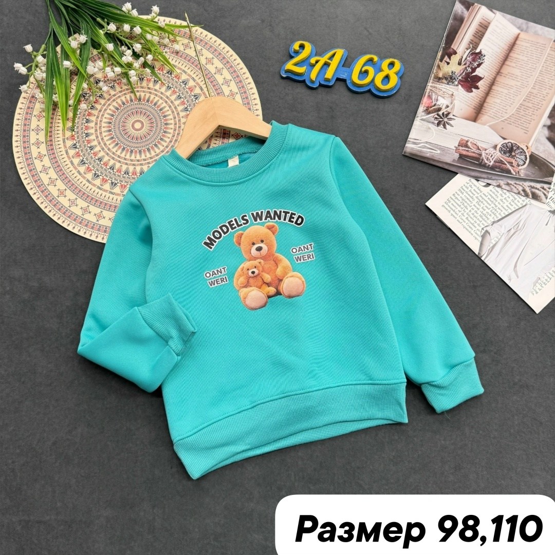 толстовка свитшот для девочки,кофта свитшот для девочек,детский свитшот,толстовки свитшот,кофта для девочек