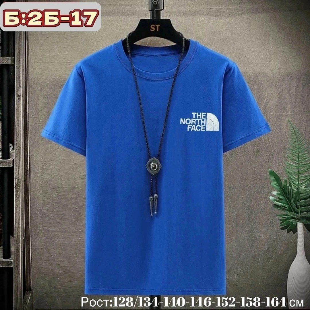 цвета футболок,футболка мужская the north face,футболка мужская,футболки для мужчин,футболка