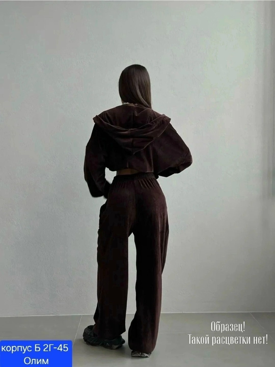 велюровый костюм,велюровый спортивная костюм,велюровые костюмы женские,велюровый спортивный костюм женски,велюровый костюм двойка