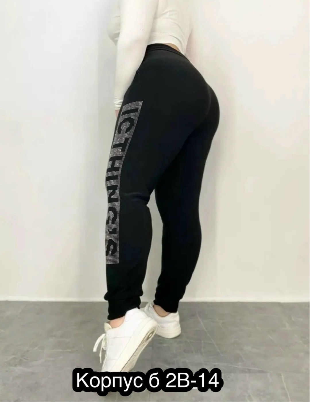 спортивные штаны со стразами,брюки спортивные,женские спортивные штаны,брюки женские спортивные,штаны на флисе