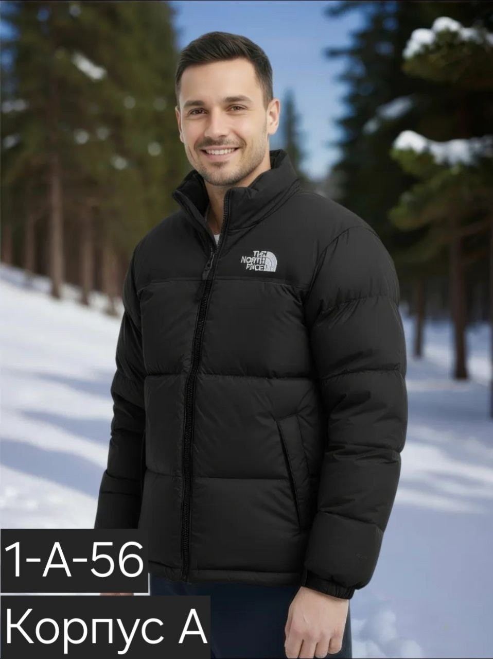 мужские пуховики the north face,пуховик the north face 700 черный,пуховик мужской the north face diablo,the north face куртка мужская,the north face 700 пуховик