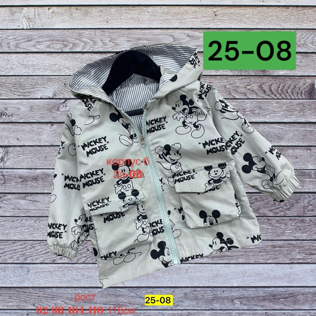 куртка с капюшоном для мальчика,куртка для малыша,детская куртка,детские куртки,ветровка детская