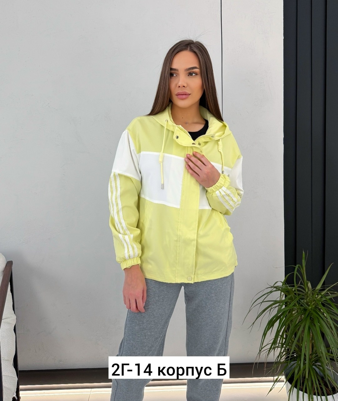 спортивные костюмы женские,ветровка,женская ветровка,,куртка женская