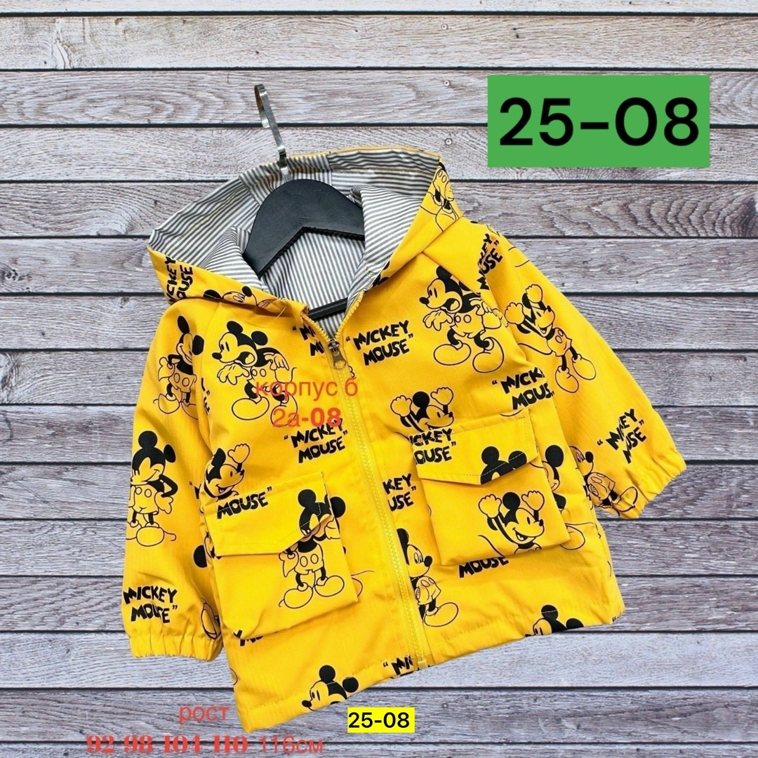 куртка с капюшоном для мальчика,куртка для малыша,детская куртка,детские куртки,ветровка детская