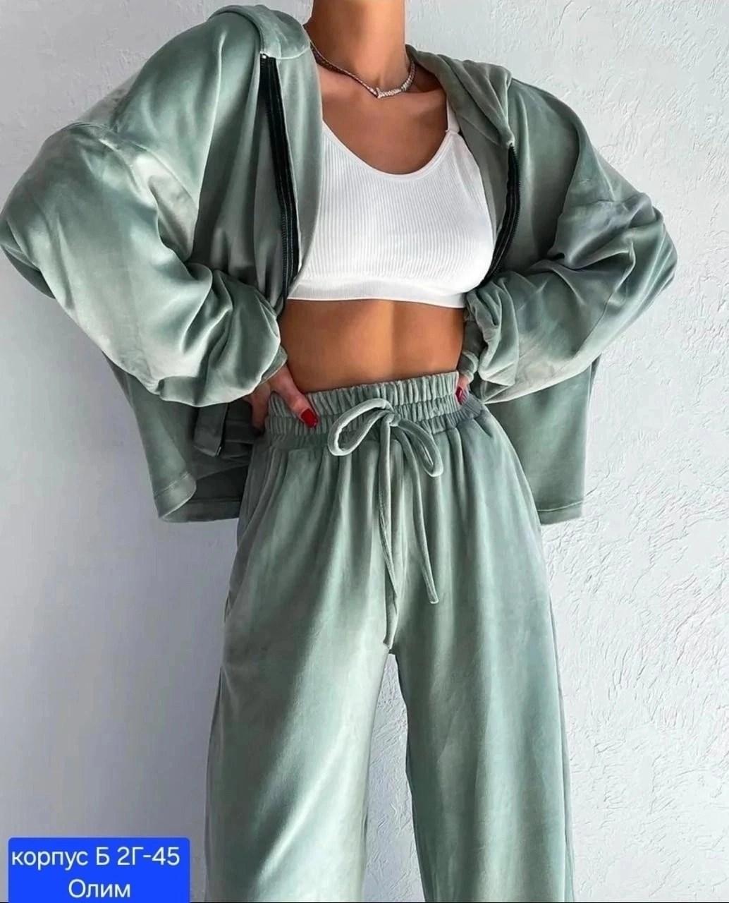 велюровый костюм,велюровый спортивная костюм,велюровые костюмы женские,велюровый спортивный костюм женски,велюровый костюм двойка