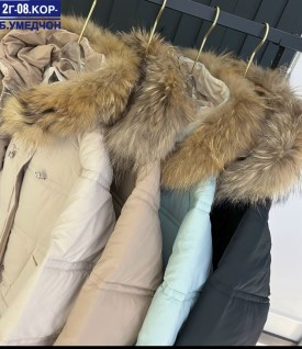 Верхняя одежда