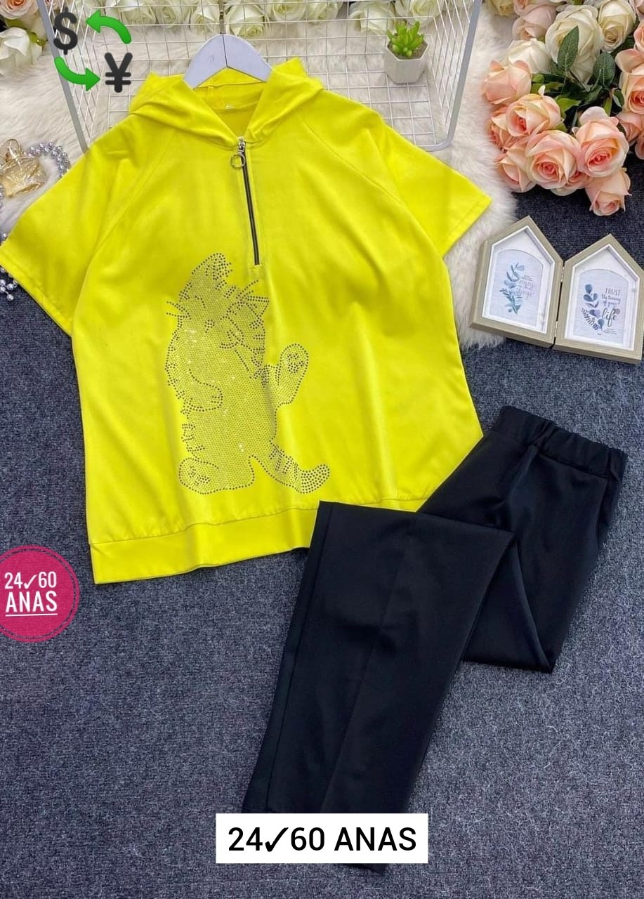 костюмы двойки, ,костюм двойка женская,спортивные костюм,