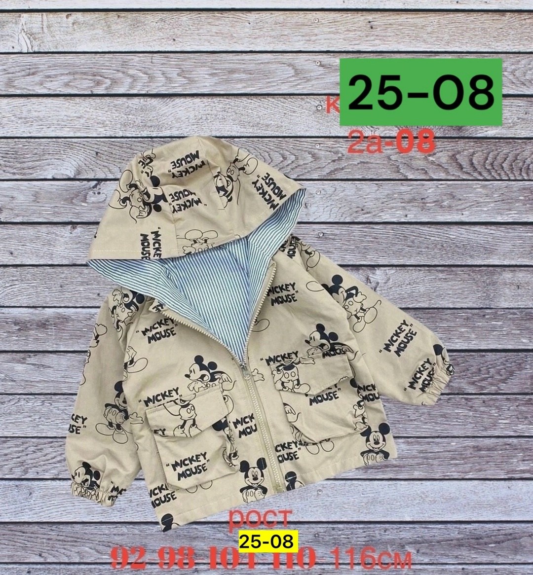 куртка с капюшоном для мальчика,куртка для малыша,детская куртка,детские куртки,ветровка детская