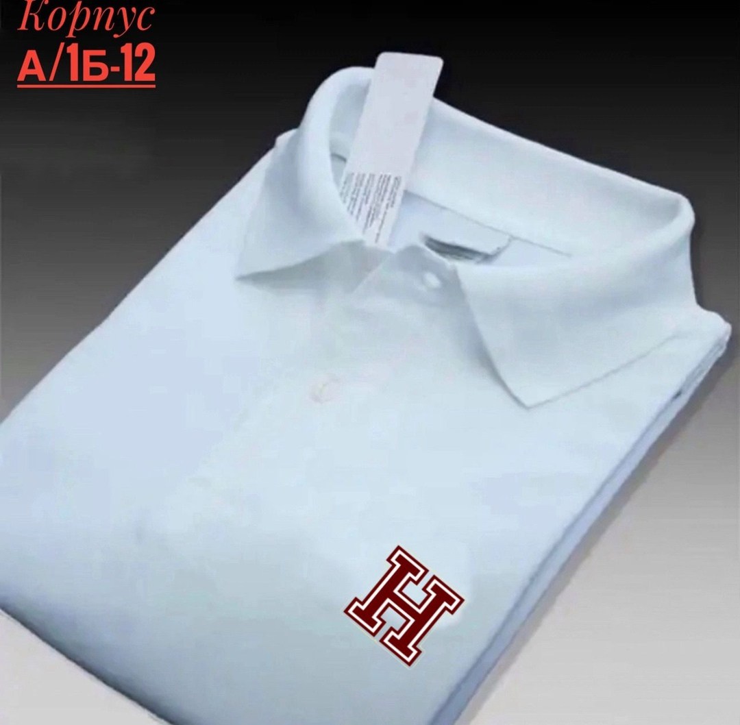 мужская рубашка поло,мужская рубашка поло с короткими рукавами,футболка поло мужская,мужская рубашка поло с длинными рукавами,мужская мода