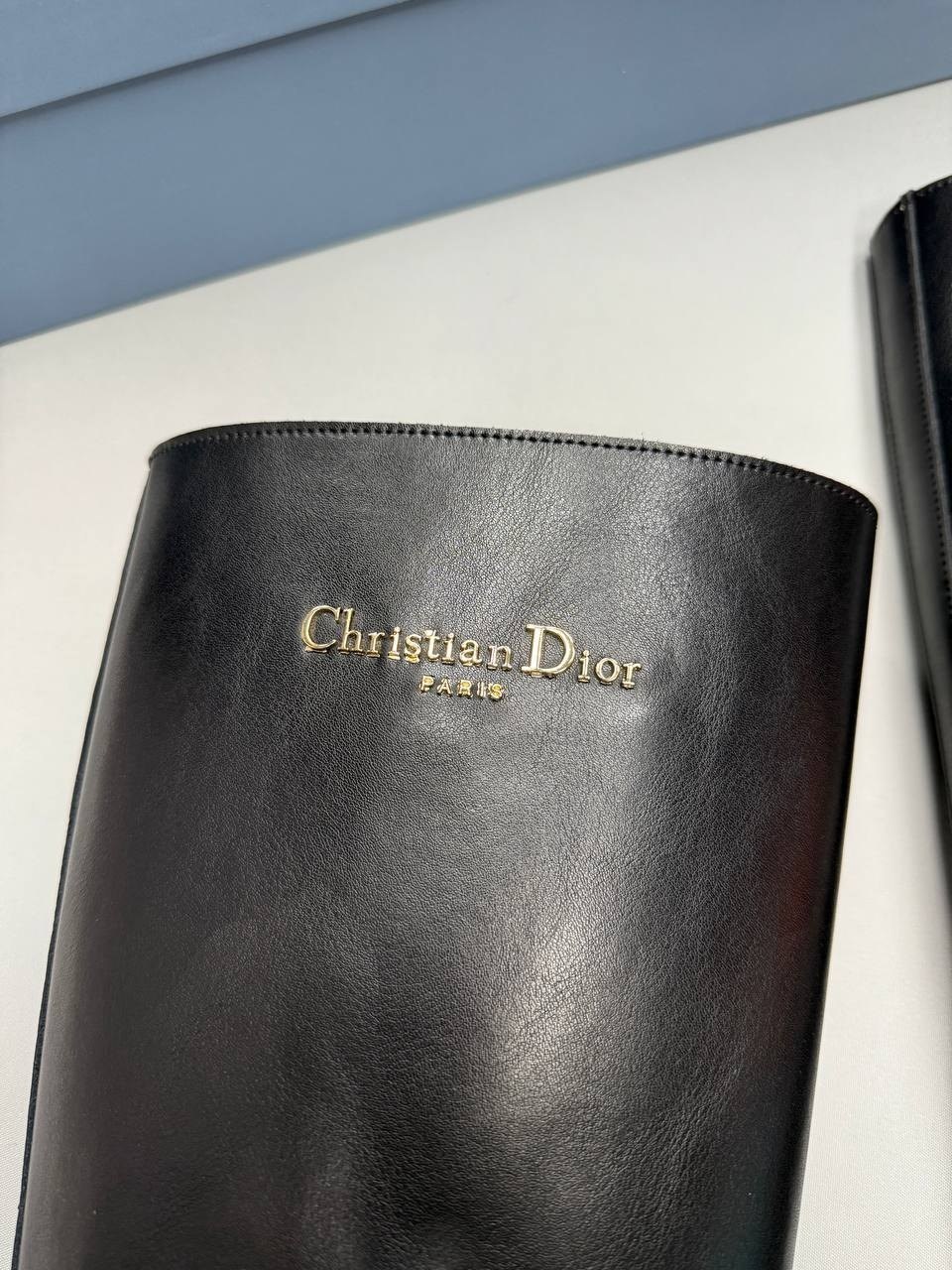 сапоги christian dior,женские сапоги,сапоги диор,сапоги dior,высокие сапоги