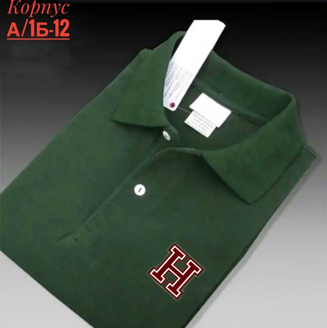 мужская рубашка поло,мужская рубашка поло с короткими рукавами,футболка поло мужская,мужская рубашка поло с длинными рукавами,мужская мода