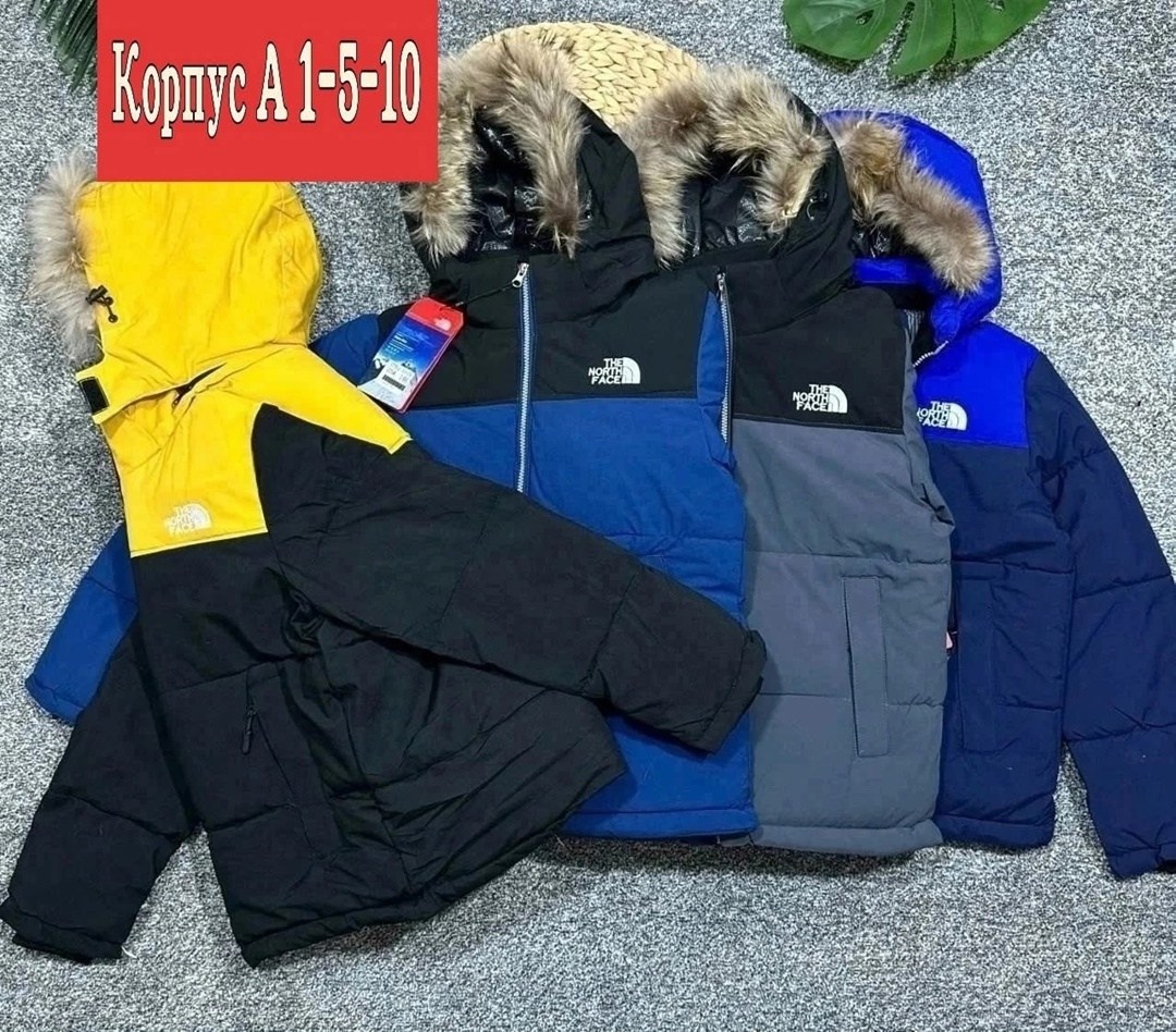 зимняя куртка для мальчика,куртка зимняя,детская зимняя куртка,куртка зимняя the north face,куртка