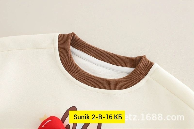 комплект одежды для мальчика,cпортивный костюм для малыша,одежда для малыша,детские костюмы,костюм детский теплый