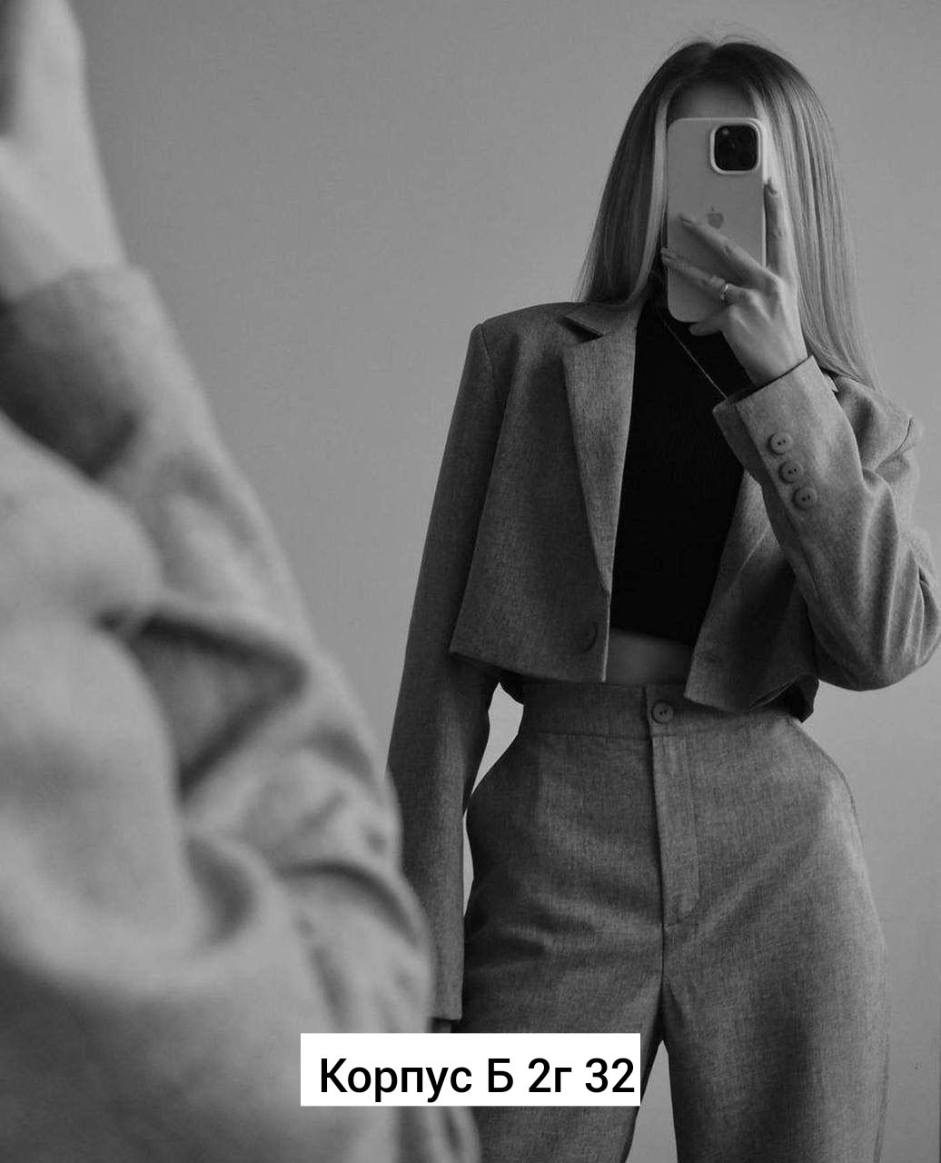 костюмы двойки,женские костюмы,костюмы брючные,женский брючный костюм двойка,брючный костюм двойка классический