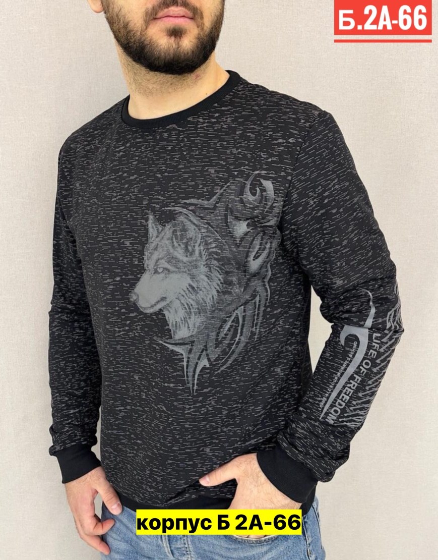 свитшот мужской белый,свитшот мужская,белая кофта мужская,кофта для мужчин,толстовки свитшот