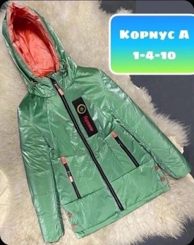 Верхняя одежда