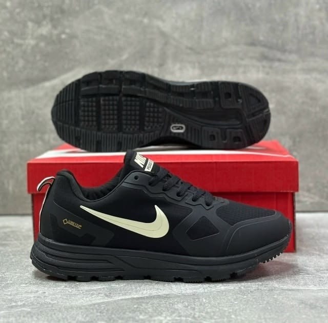 кроссовки мужские nike,nike pegasus gore tex,кроссовки,кроссовки nike,кроссовки nike gore tex