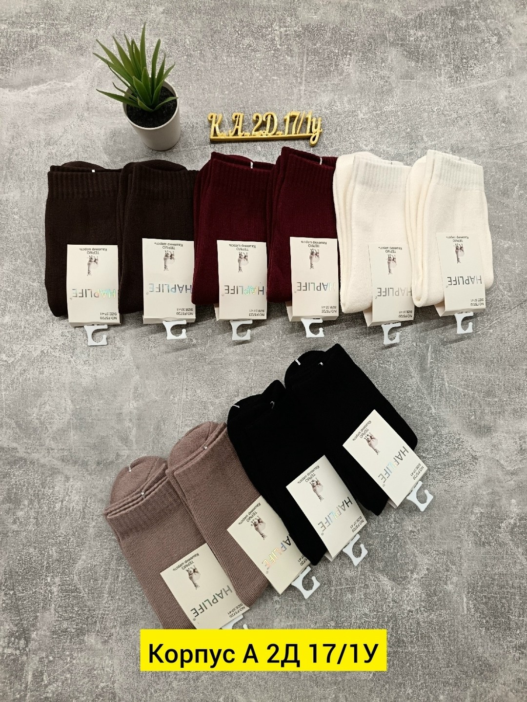 носки женские,носки женские 10 пар,носки оптом,женские носки упаковка,носки хлопковые женские
