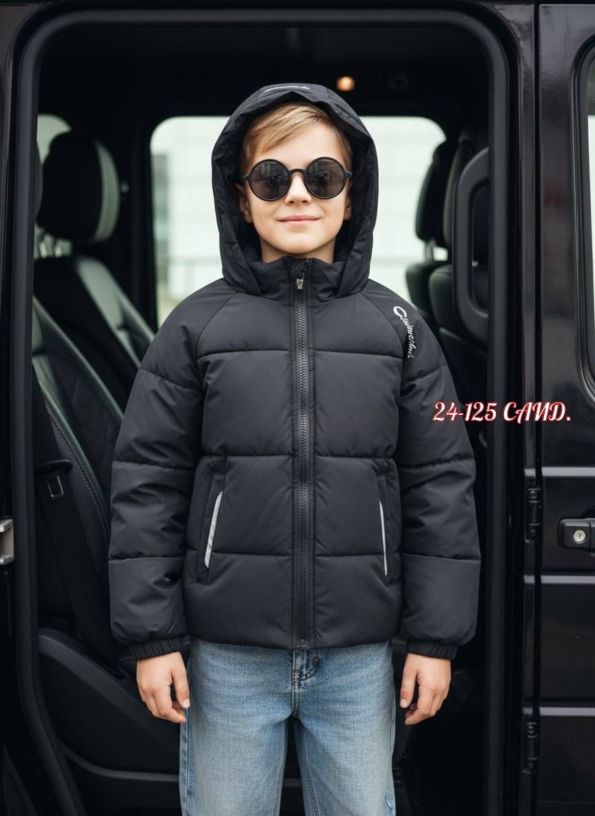 куртка для мальчика,зимняя куртка для мальчика,пуховик для мальчика,зимние куртки,куртка демисезонная