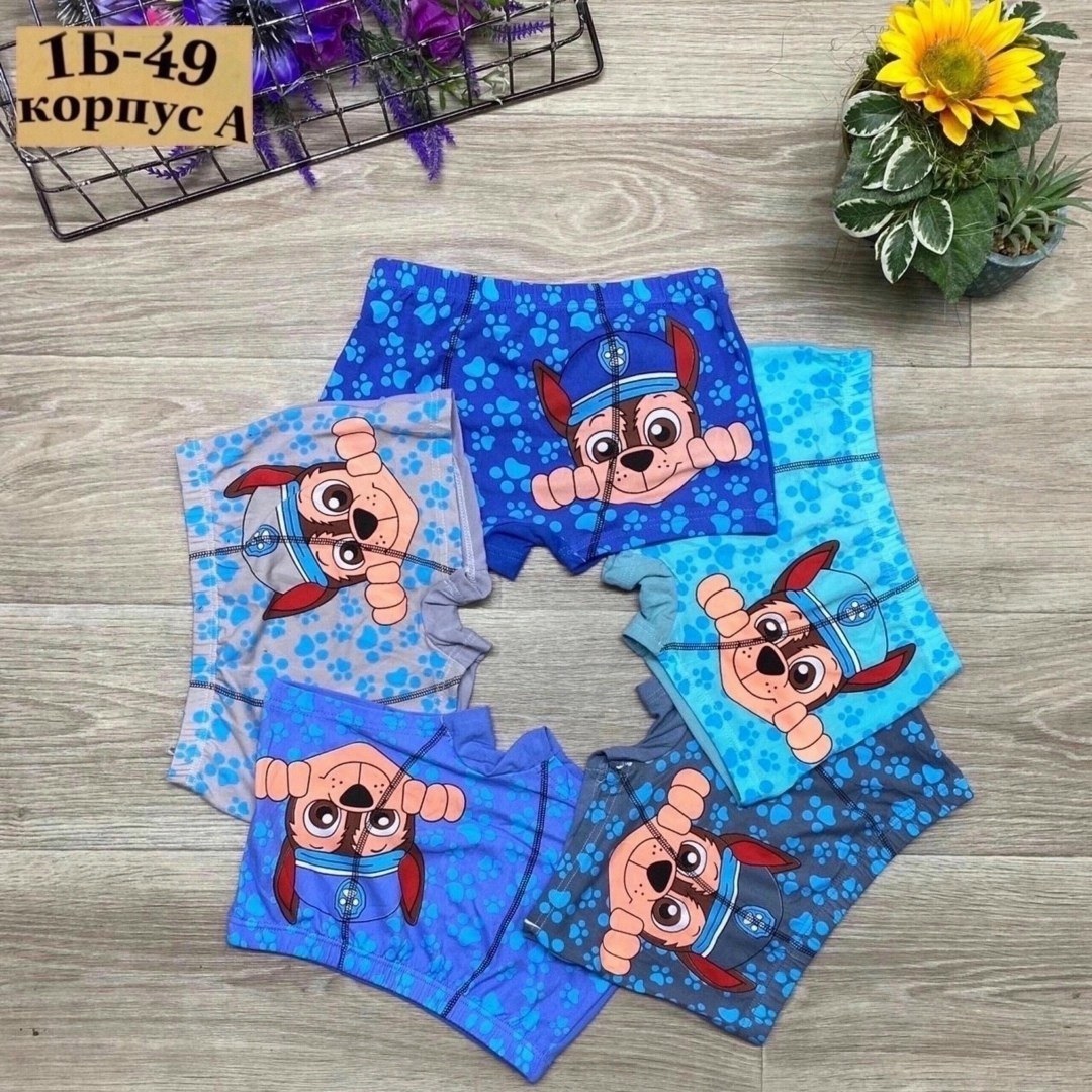 детские трусы,трусы для мальчика,трусы боксеры для мальчика,детские трусы для мальчика,трусы детские для мальчика набор