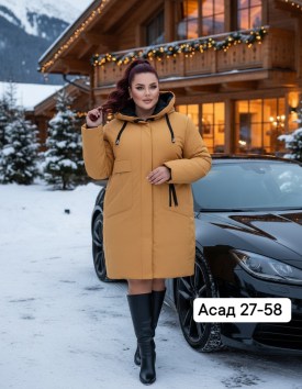 Верхняя одежда