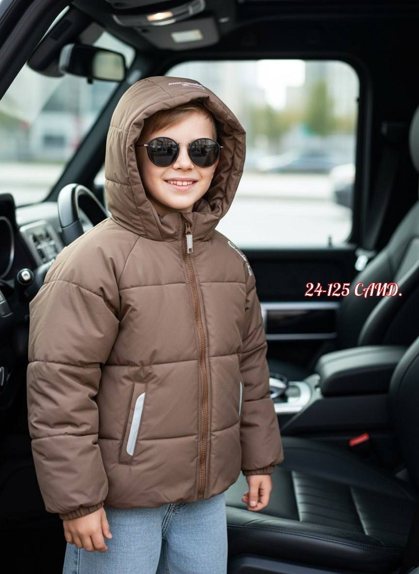 куртка для мальчика,зимняя куртка для мальчика,пуховик для мальчика,зимние куртки,куртка демисезонная