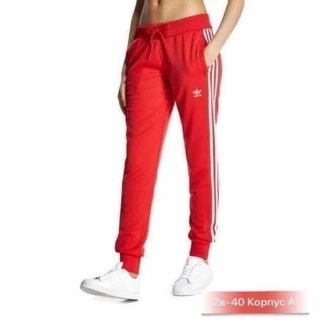 девушка,женские костюмы спортивные,красивая девушка в спортивном костюме,в спортивном костюме,девушка в спортивном костюме