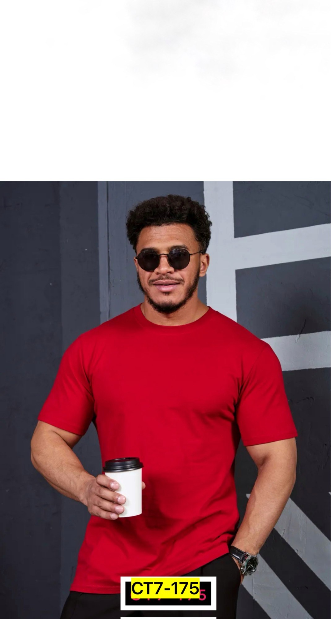 футболка однотонная базовая хлопок,футболка однотонная белая,футболка хлопок однотонная,футболка мужская,мужская футболка белая