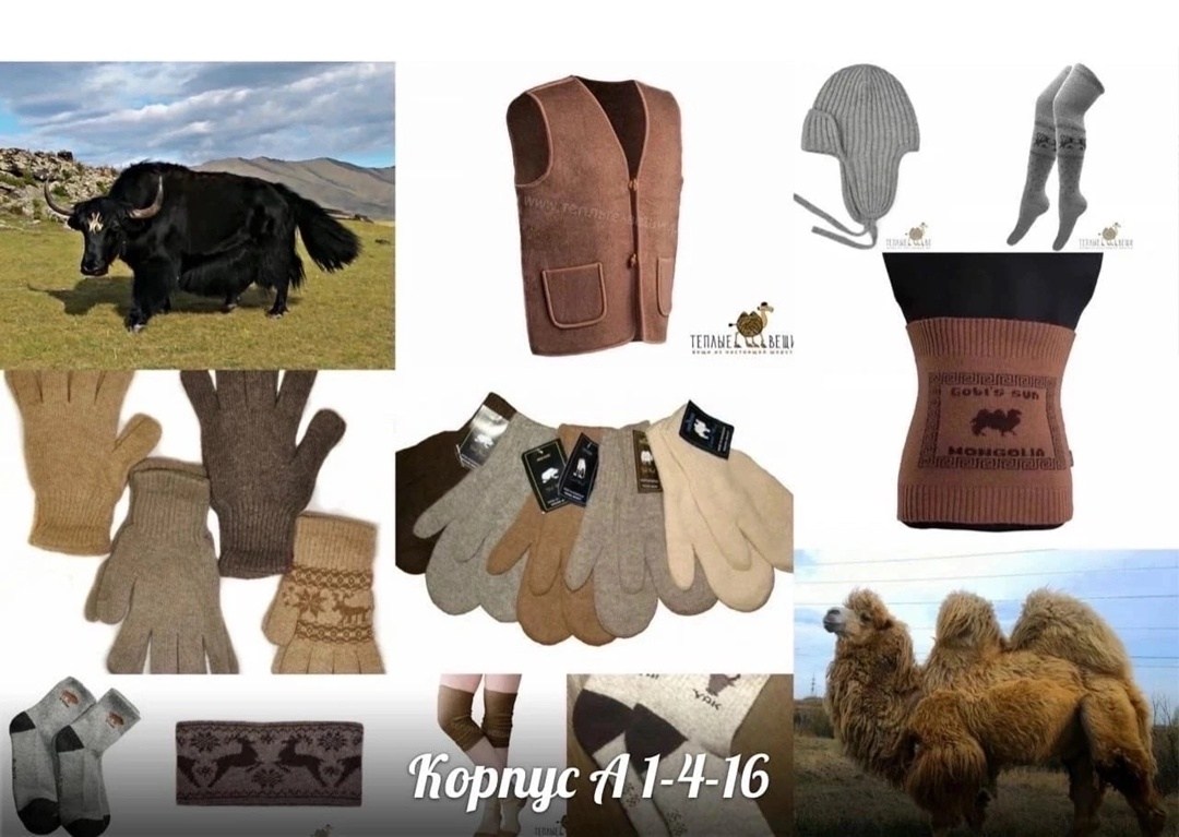 из верблюжьей шерсти,перчатки из верблюжьей шерсти монголия,продукция из верблюжьей шерсти,перчатки из верблюжей шерсти,перчатки из верблюжьей шерсти
