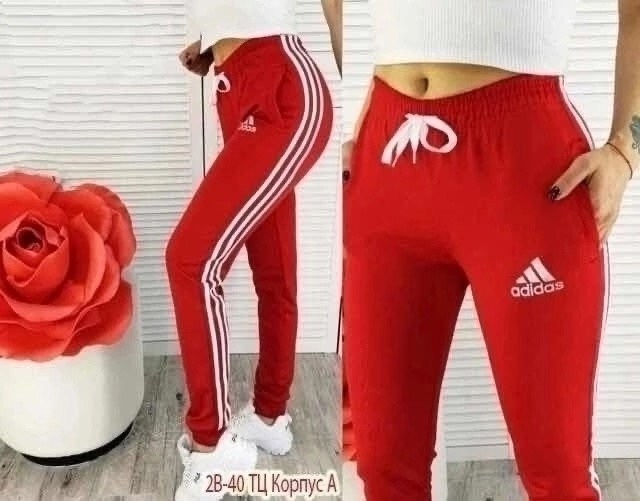 девушка,женские костюмы спортивные,красивая девушка в спортивном костюме,в спортивном костюме,девушка в спортивном костюме