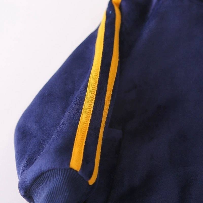 детские спортивные костюмы,костюм велюровый,cпортивный костюм для малыша,детский теплый спортивный костюм,комплект одежды для маленьких мальчиков