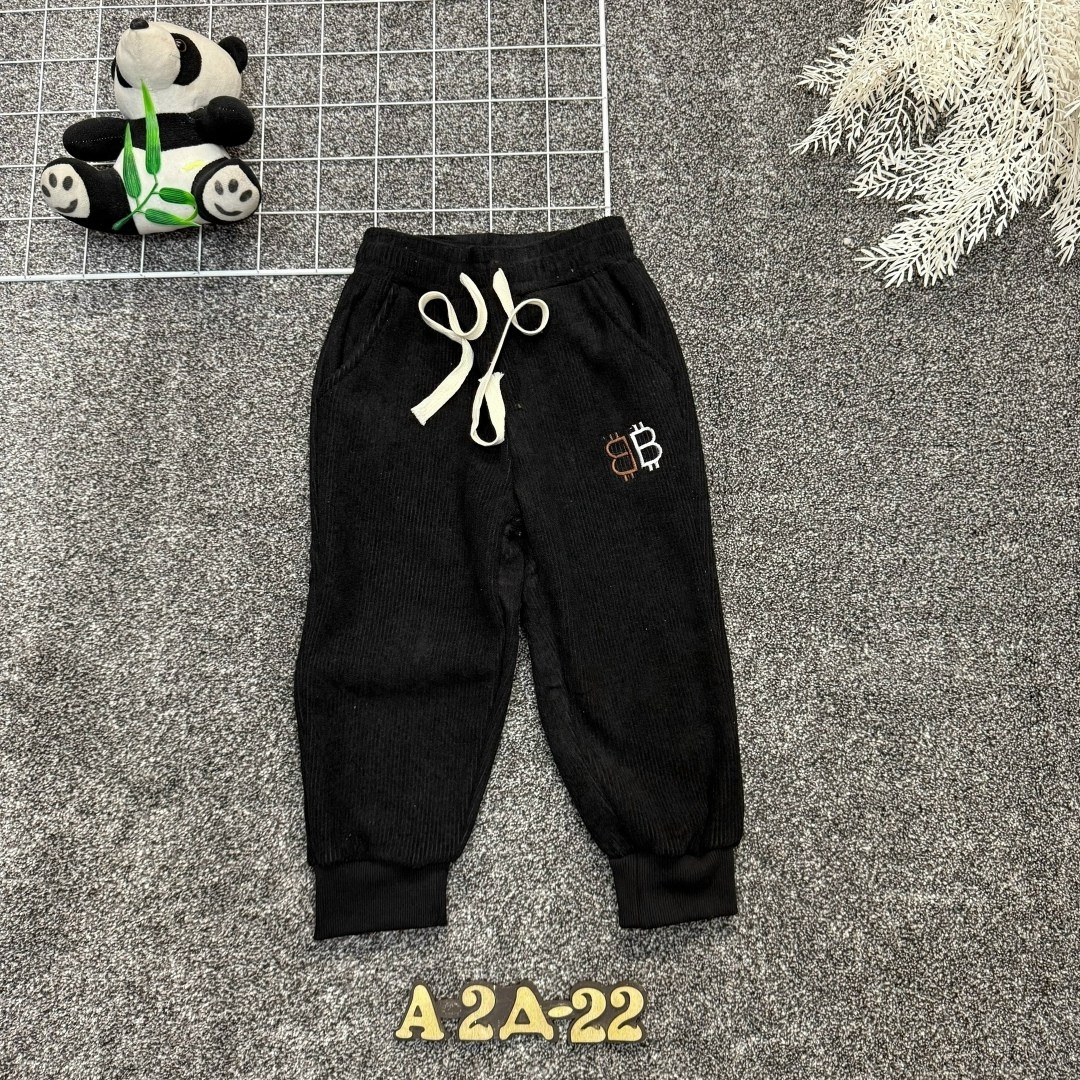 детские штаны,детские брюки,штаны детские с начесом,штаны с начесом,брюки спортивные