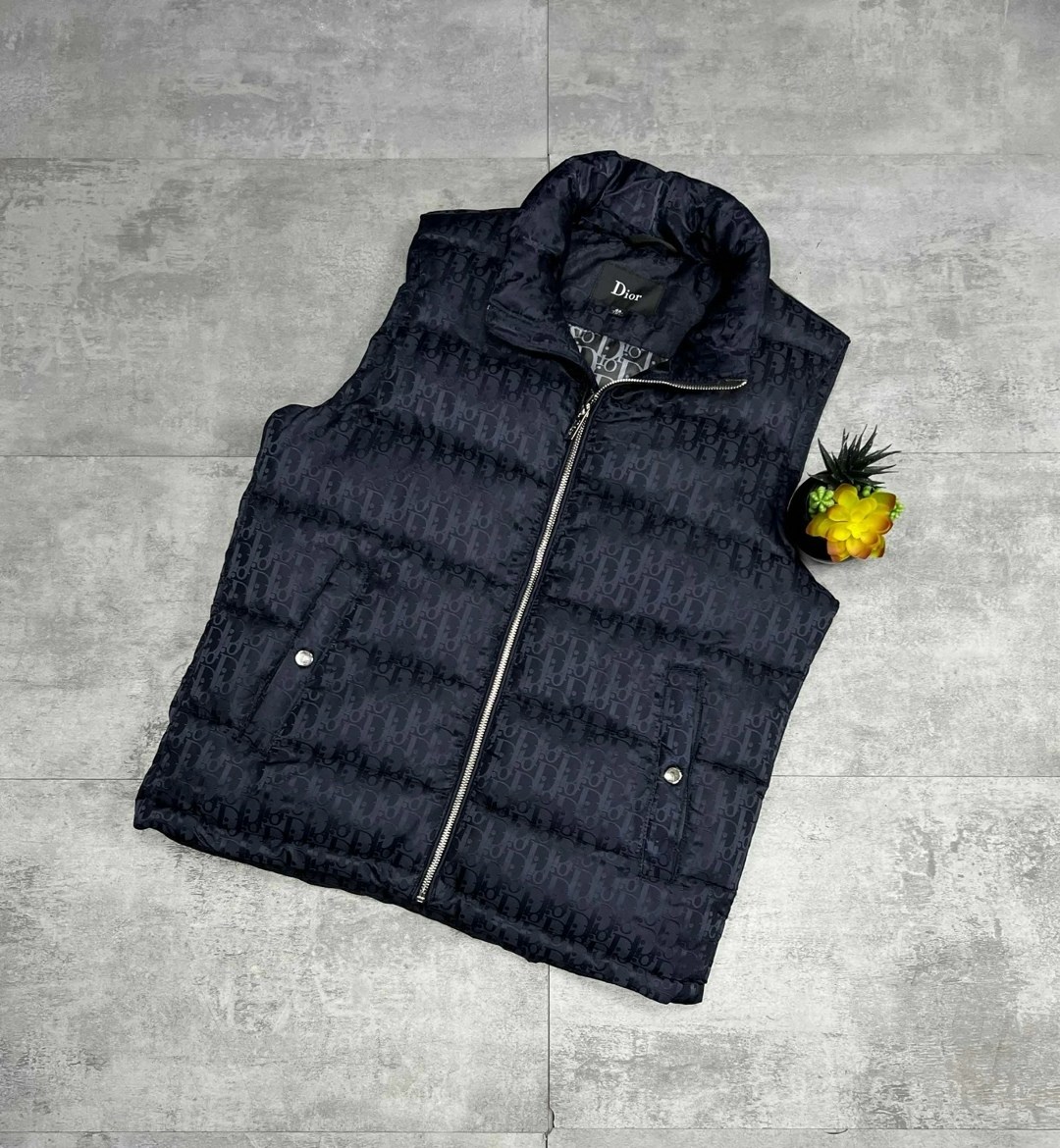 жилетка безрукавка,жилетка мужская,жилетка dior,жилетка диор,одежда жилет