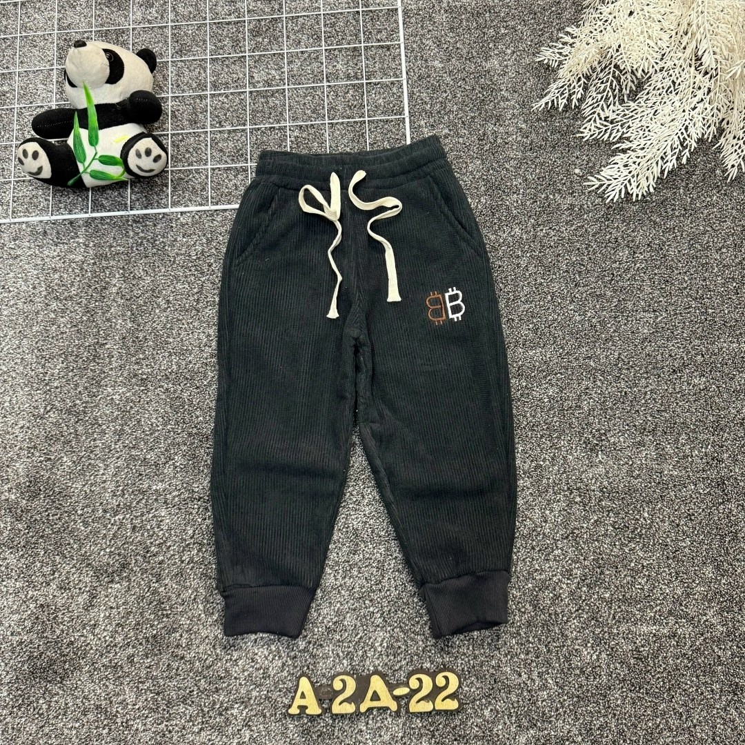 детские штаны,детские брюки,штаны детские с начесом,штаны с начесом,брюки спортивные