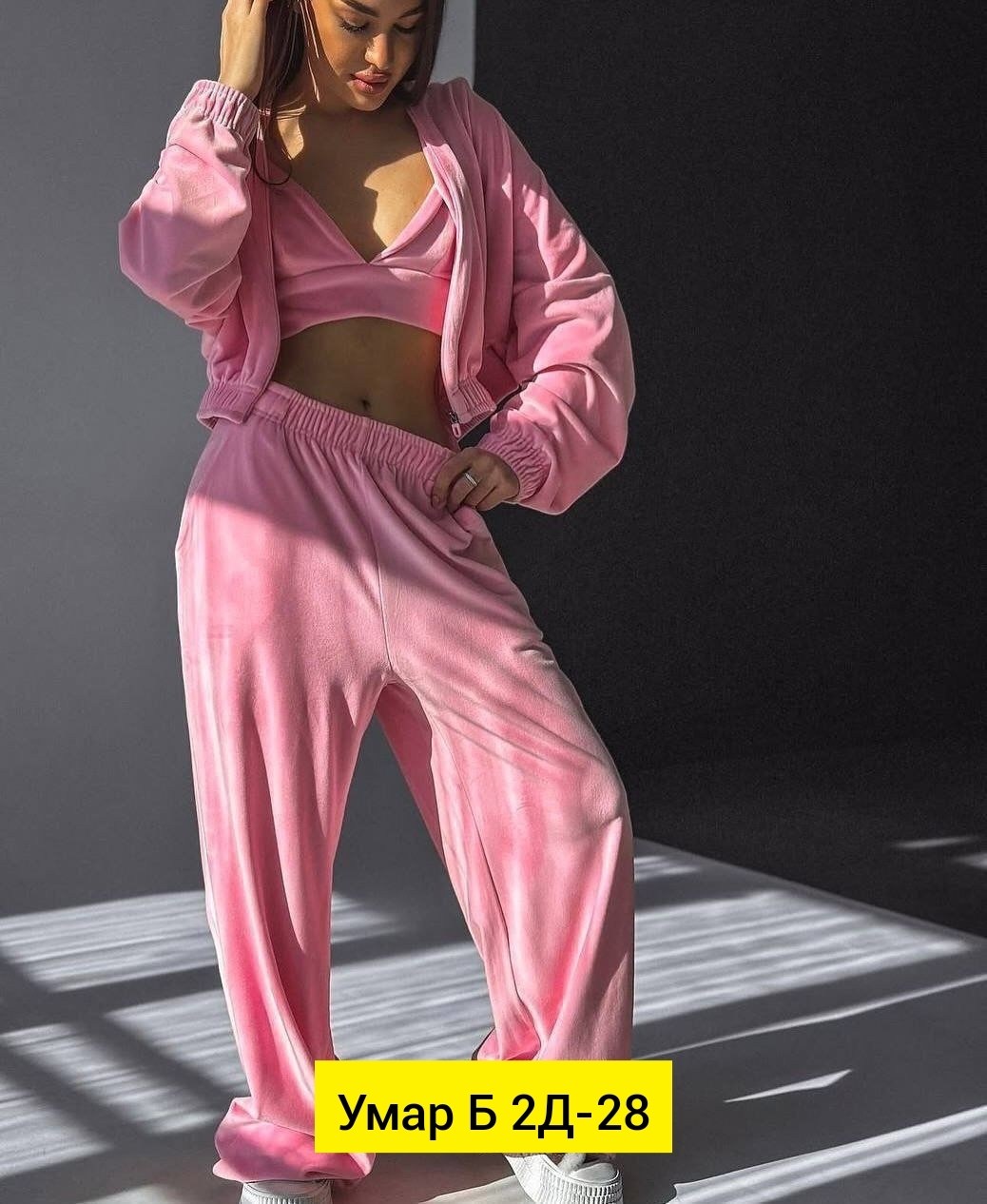 велюровый костюм тройка,велюровый спортивная костюм,велюровые костюмы женские,костюм велюровый,велюровый костюм двойка