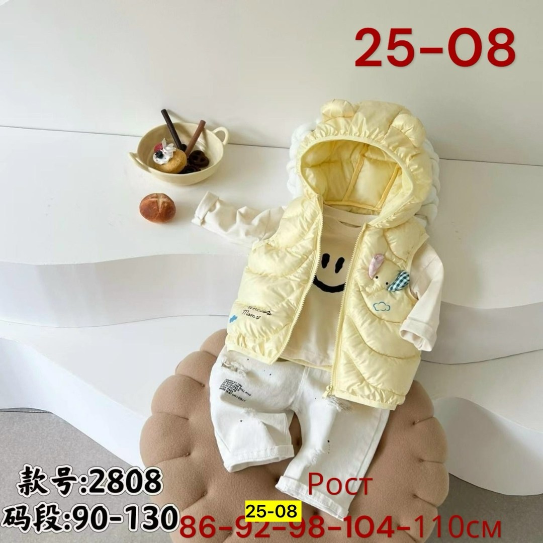 жилет для малыша,жилет детский утепленный демисезонный,детский жилет,жилетка детская демисезонная,жилетка детская