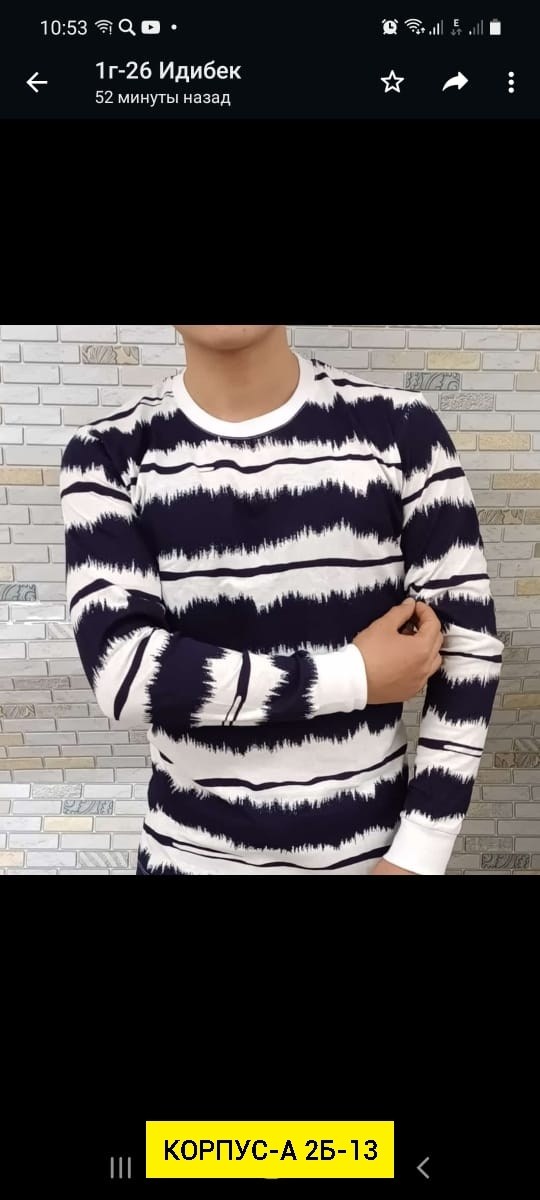 мужская кофта,лонгслив мужской,толстовки кофта,мужские свитшоты,джемпер