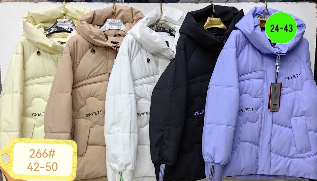 куртка женская,демисезонная куртка,куртка,зимняя куртка женская,куртка на синтепоне