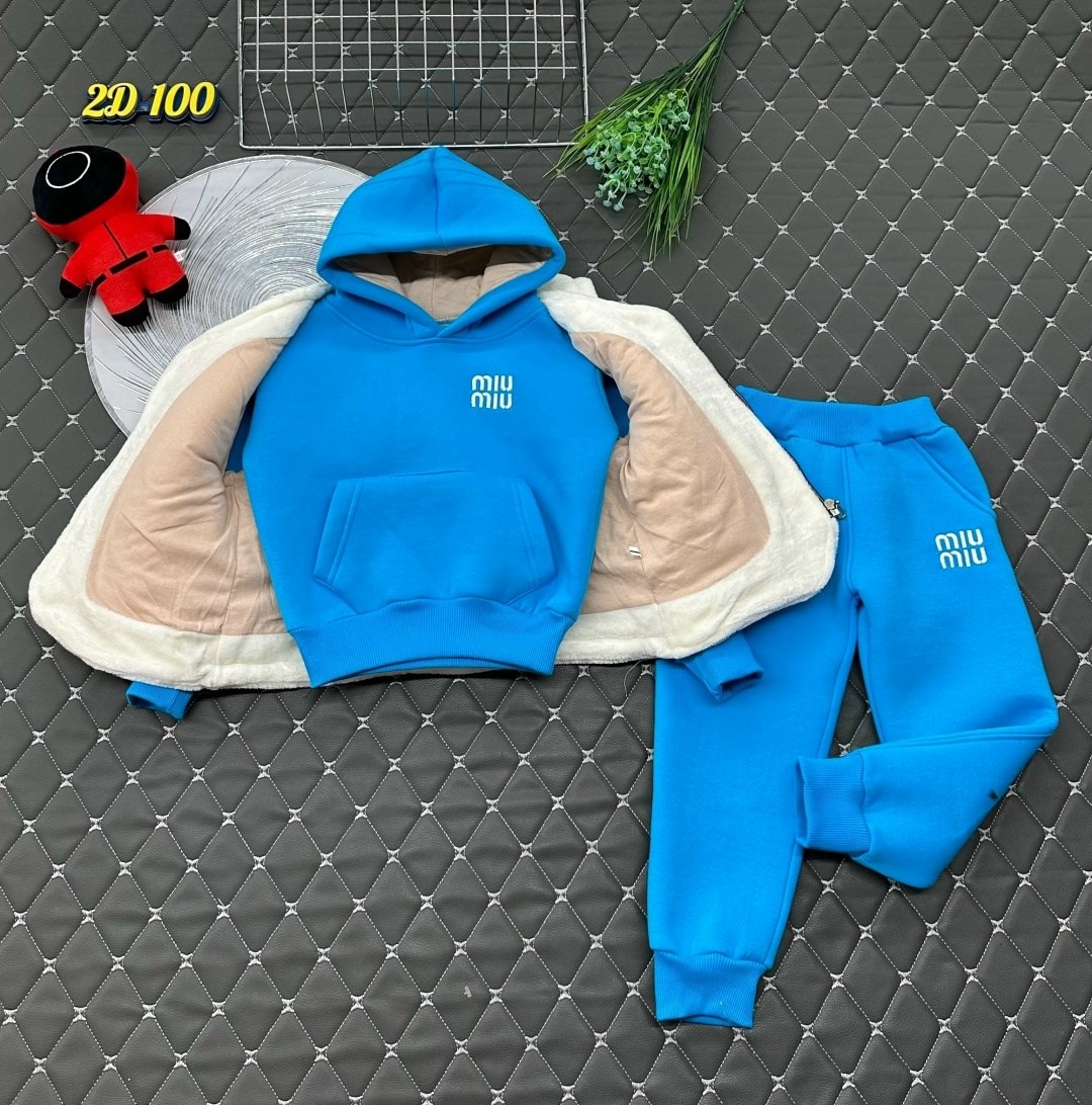 костюм на флисе,детский костюм с начесом,детские костюм на флисе,спортивные костюм,костюм худи