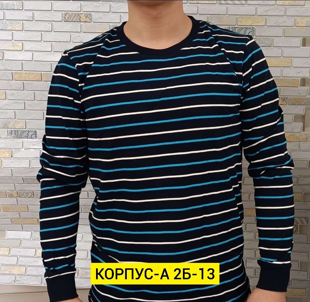 мужская кофта,лонгслив мужской,толстовки кофта,мужские свитшоты,джемпер