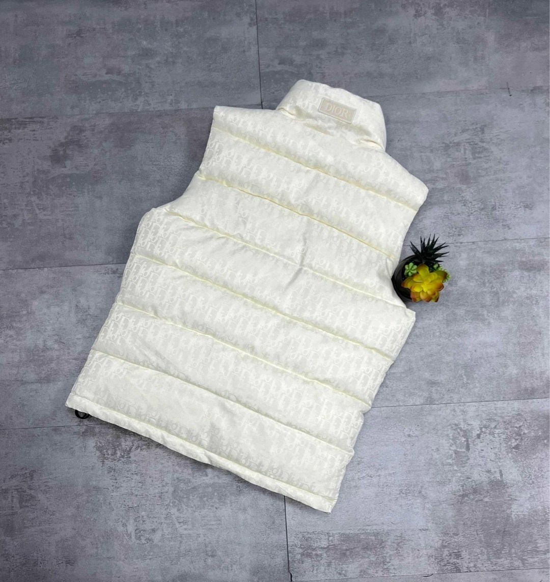 жилетка безрукавка,жилетка мужская,жилетка dior,жилетка диор,одежда жилет