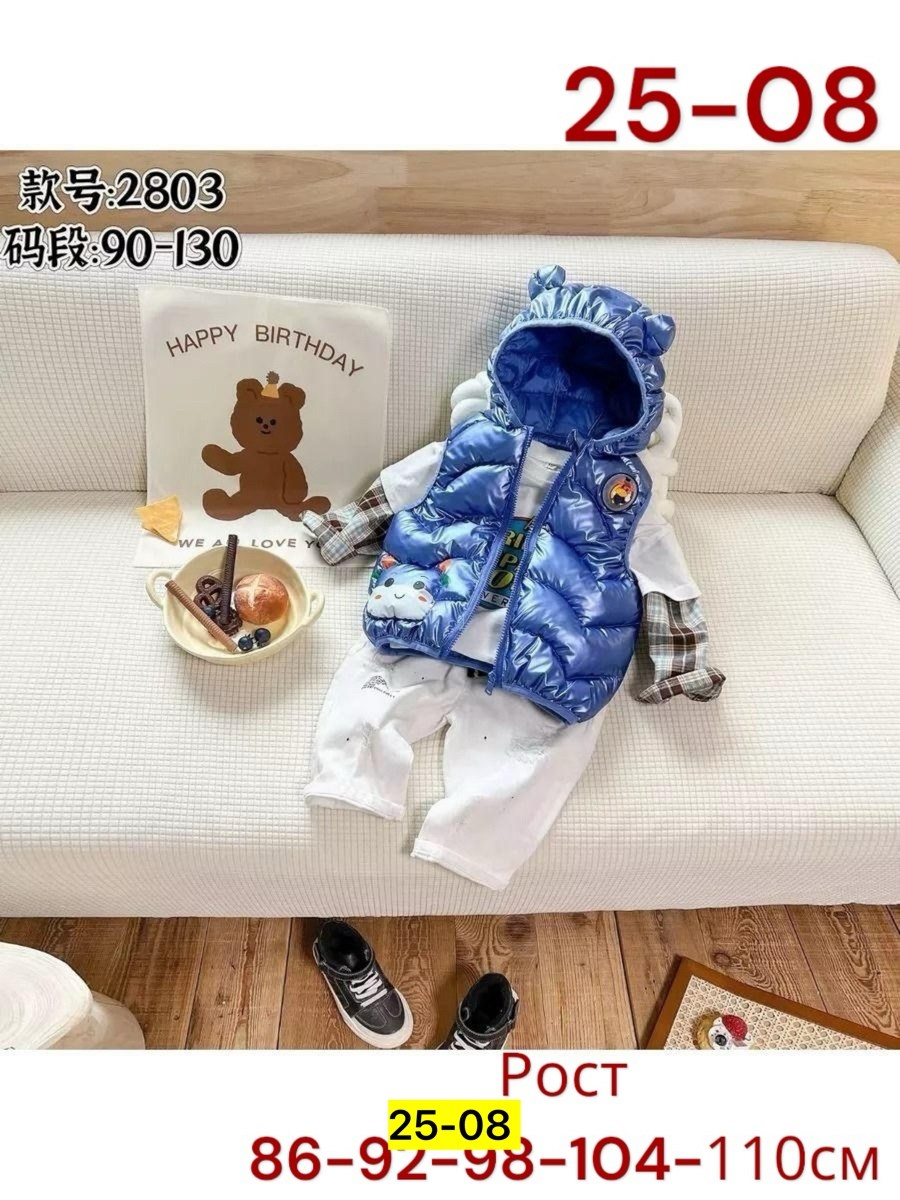 жилет для малыша,жилет детский утепленный демисезонный,детский жилет,жилетка детская демисезонная,жилетка детская