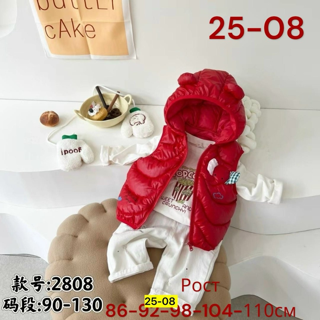 жилет для малыша,жилет детский утепленный демисезонный,детский жилет,жилетка детская демисезонная,жилетка детская